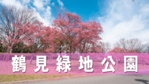 鶴見緑地公園に桜や風車を見てきました